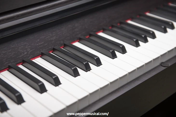 88 Key Digital Piano Frence Sound Souces Metal Three-legged Pedal
